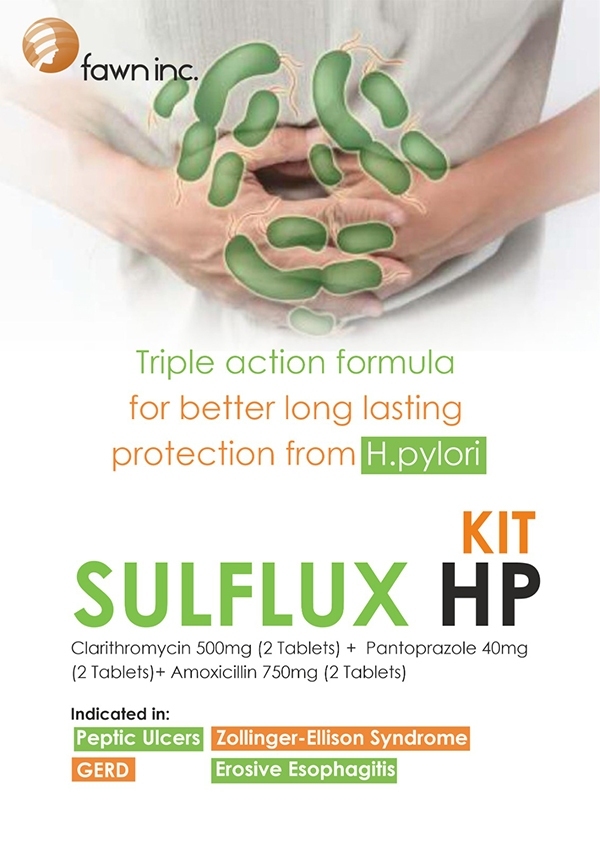 SULFLUX-HP-KIT