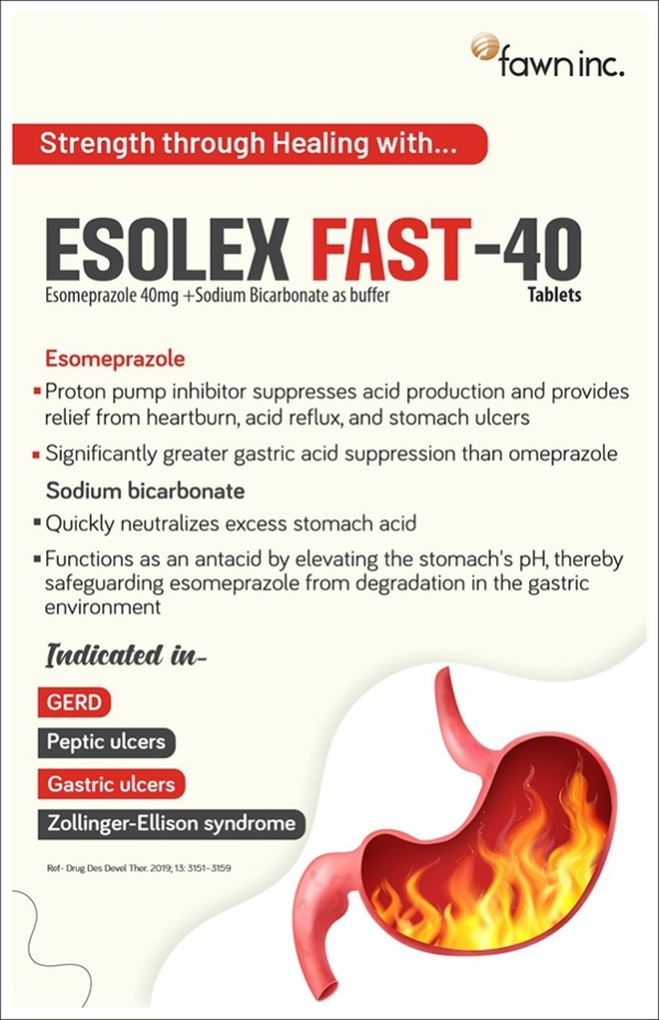 esolex-fast-40