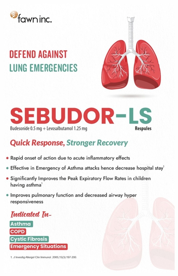 sebudor-ls